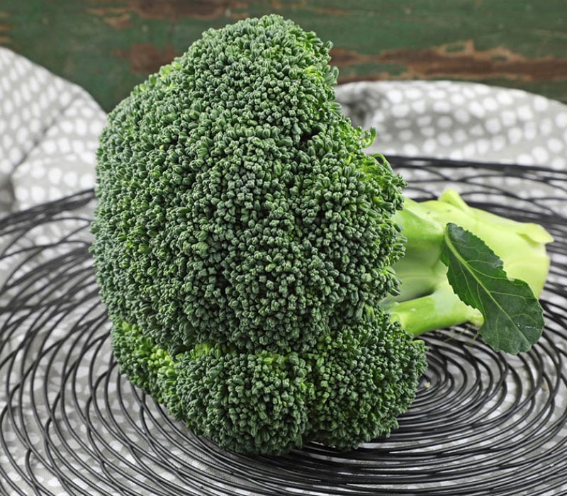 Broccamole Recipe and Benefits of Broccoli