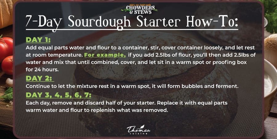 sourdough-starter