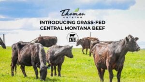 Read more about the article Introducing Central Montana Beef