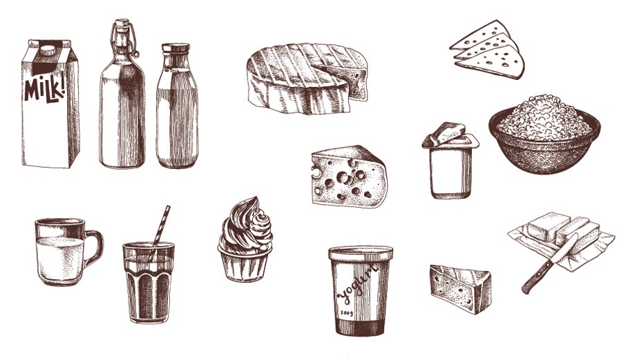 cheese, milk, yogurt, and various dairy items are shown in a group