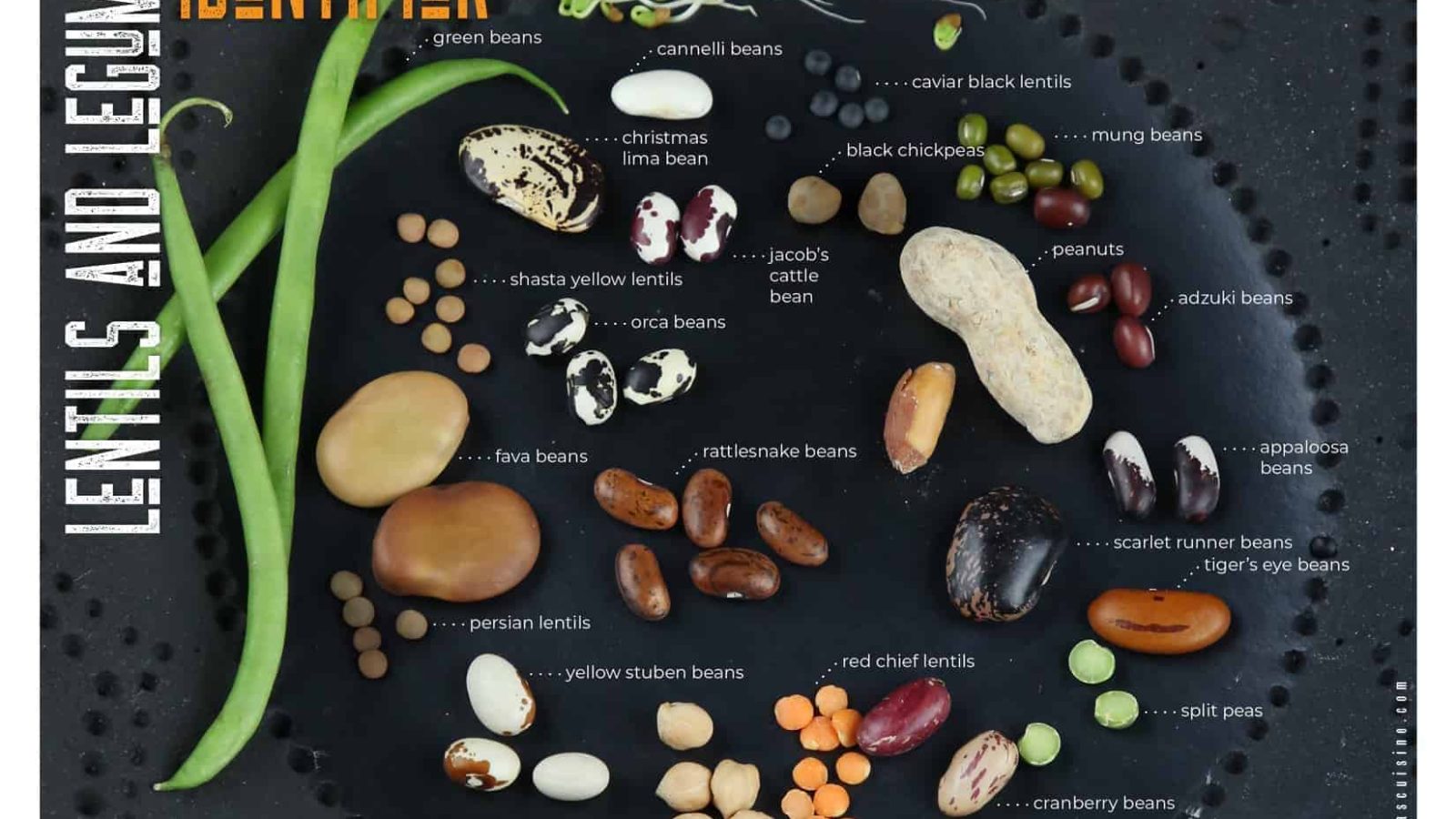 types of beans