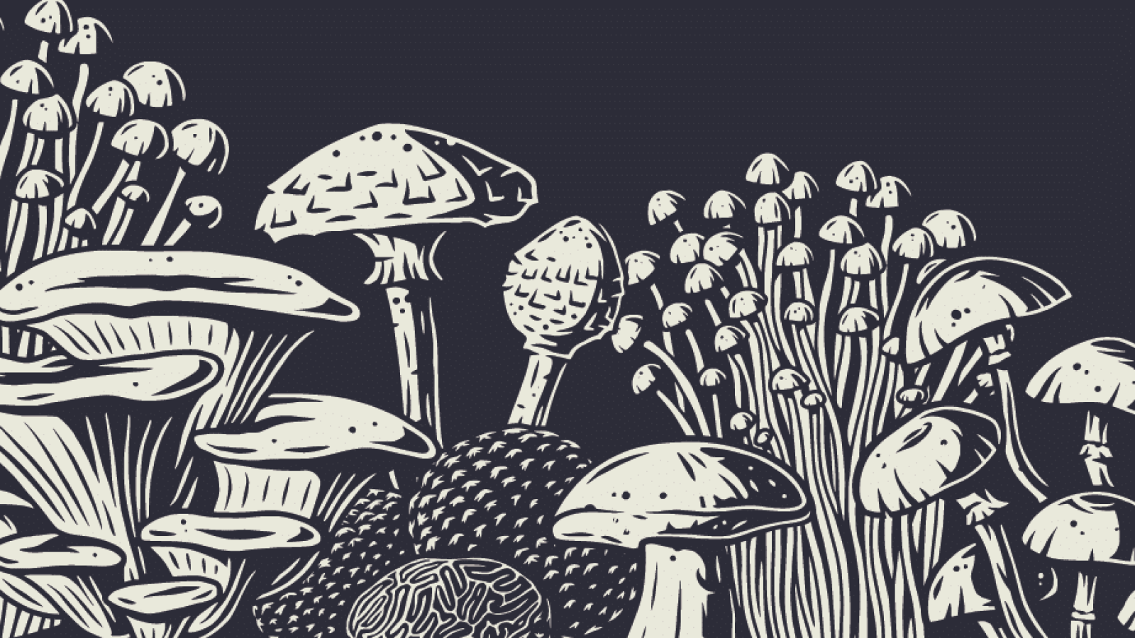 An illustration of various types of mushrooms. The graphic is white, with blue backdrop.