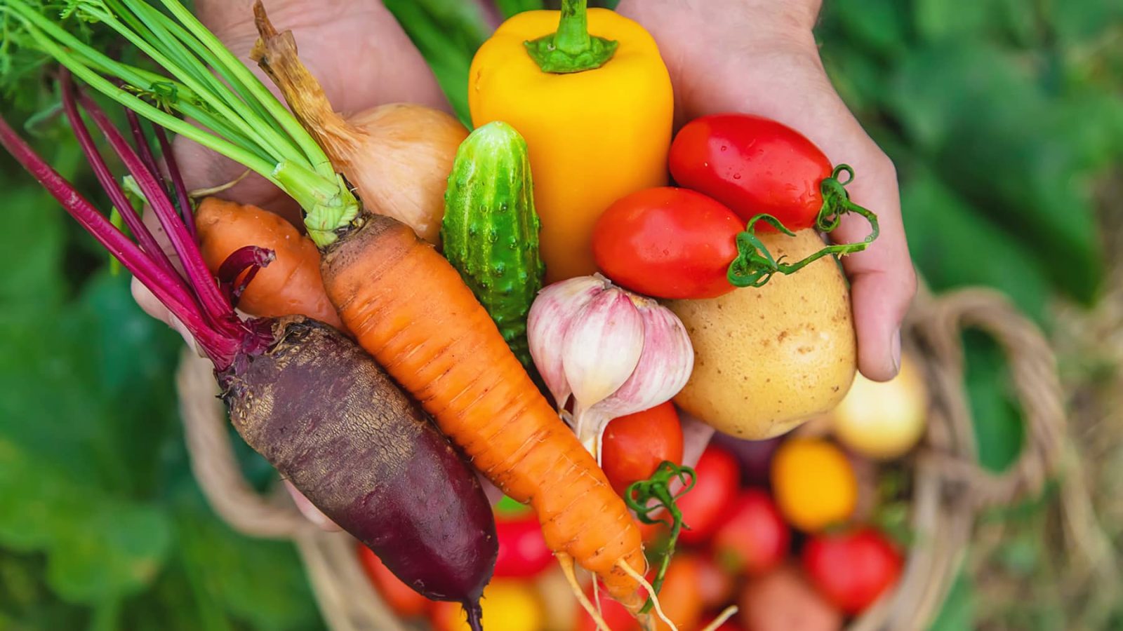 Thomas Cuisine Gives Back with Emergency Food Network in WA